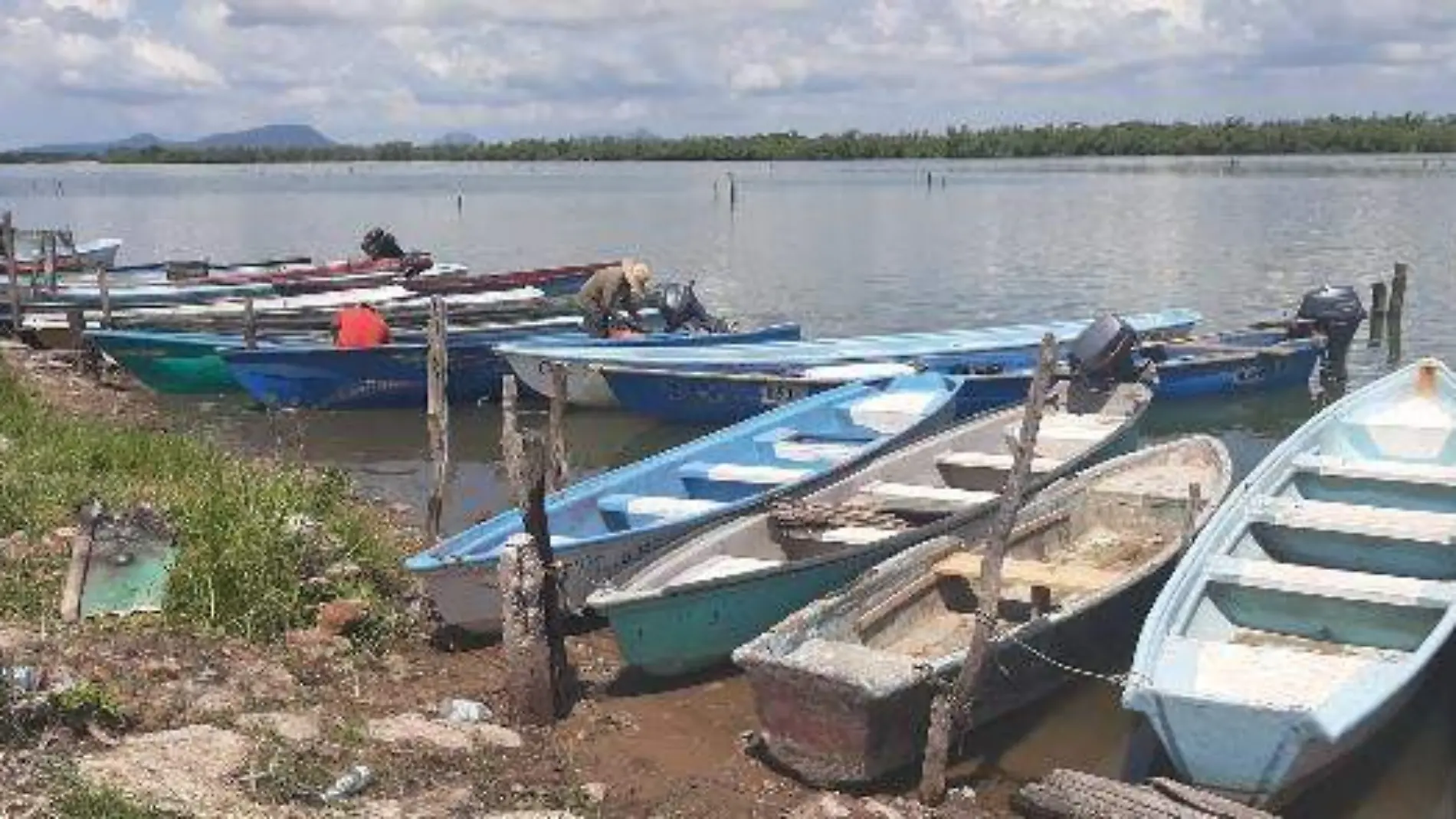 PESCADORES CAMARON